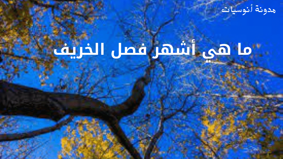 ما هي أشهر فصل الخريف,